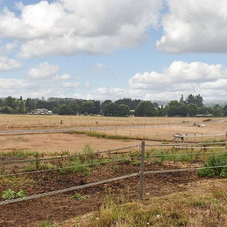 הוילה Rake South Wing Coldharbour Park Farm מראה חיצוני תמונה