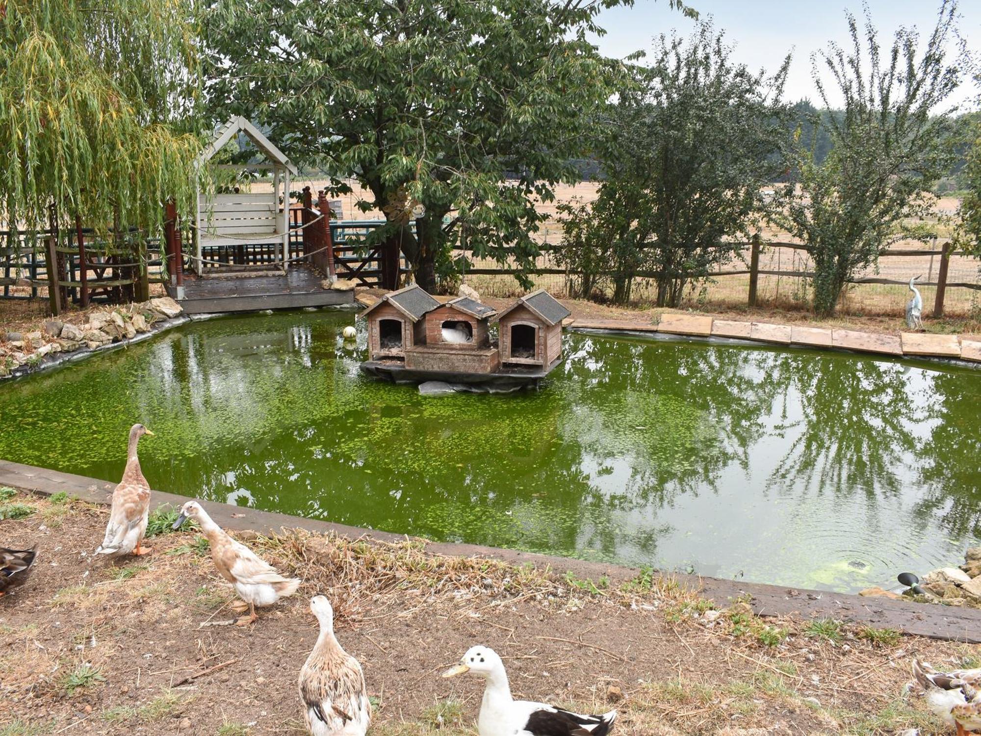 הוילה Rake South Wing Coldharbour Park Farm מראה חיצוני תמונה